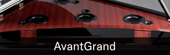 button_avant-1 button avant 1