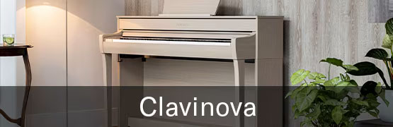 button_clavinova-1 button clavinova 1