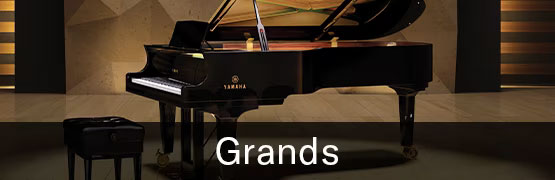 button_grands-1 button grands 1