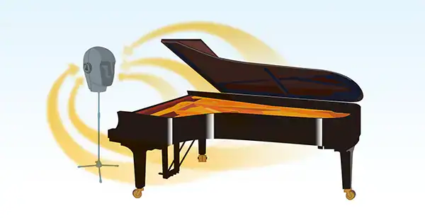 clp 7