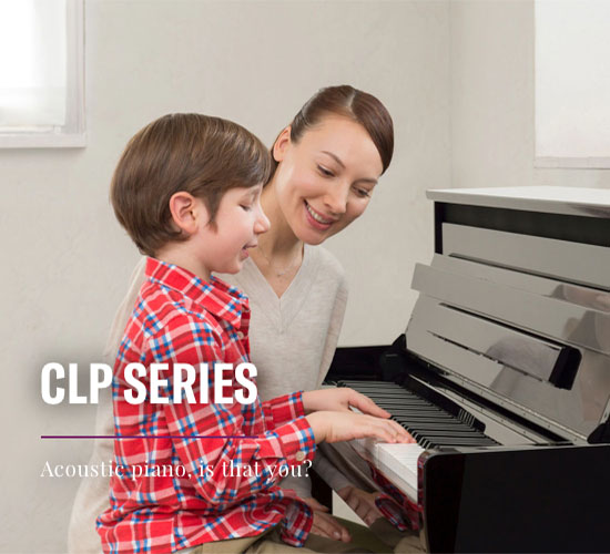 clp series