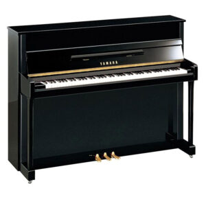 Yamaha b2
