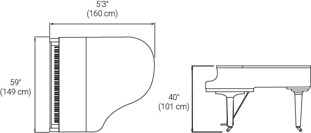 c1x plan