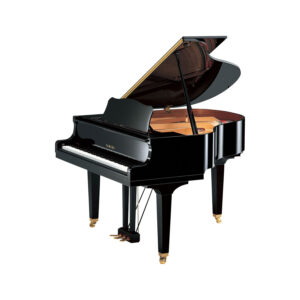 Yamaha GB1K