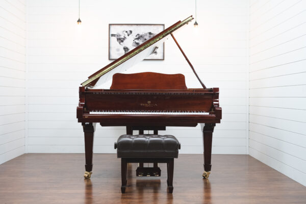 Perzina GP-175 - Image 6