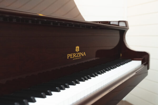 Perzina GP-175 - Image 2
