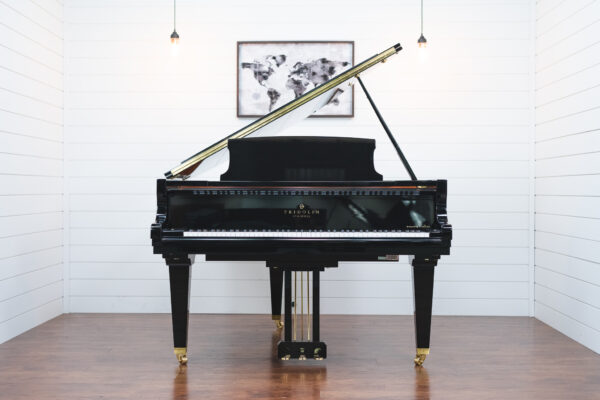 Schimmel Fridolin F156 - Grand Piano - Image 3