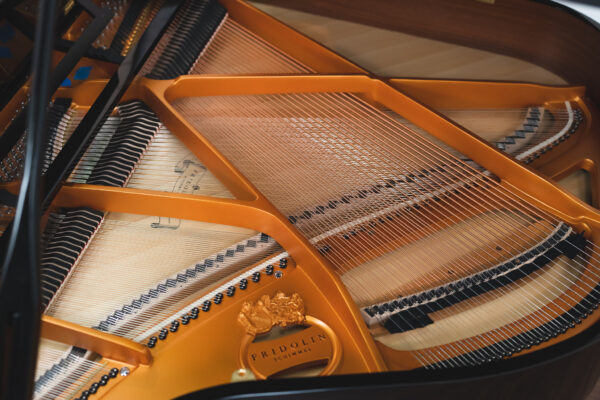 Schimmel Fridolin F156 - Grand Piano - Image 12