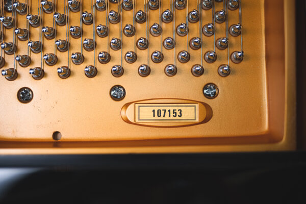 Schimmel Fridolin F156 - Grand Piano - Image 6