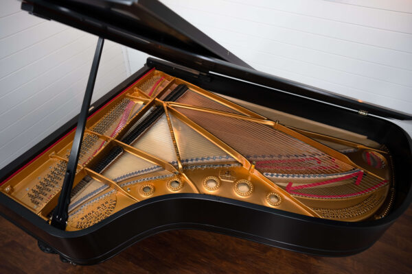 Steinway Model B Art Case Year 1902 - Image 11