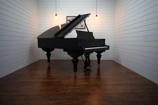 Steinway Model B Art Case Year 1902 - Image 9