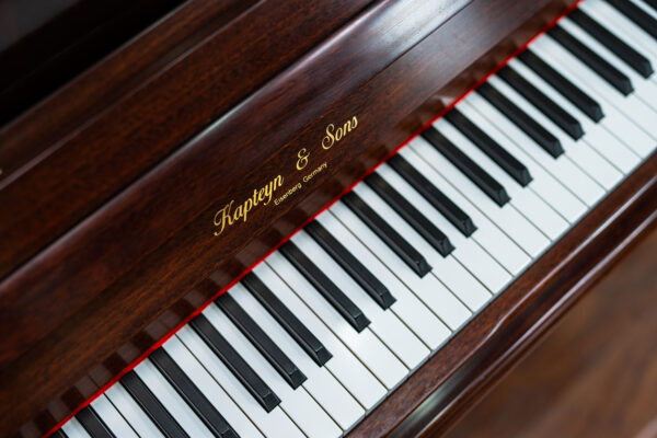 Kapteyn & Sons German Upright - Image 5
