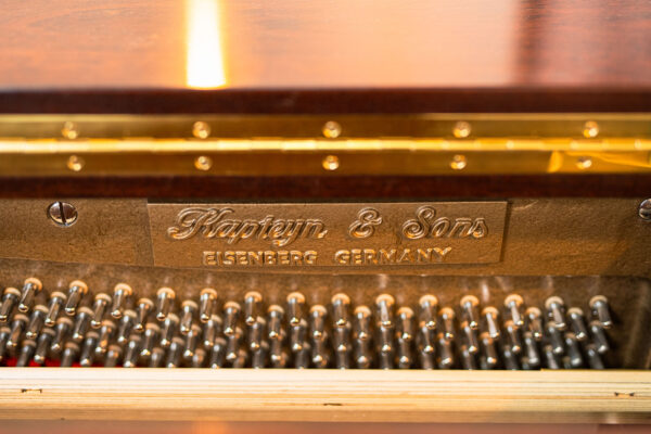 Kapteyn & Sons German Upright - Image 10