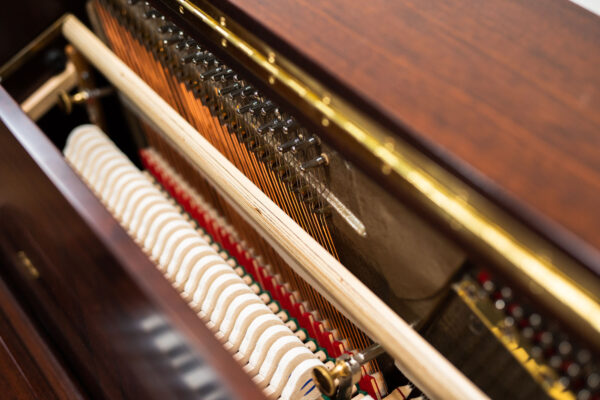 Kapteyn & Sons German Upright - Image 11