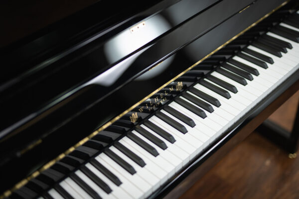 Schimmel Wilhelm W118 Upright Piano - Image 5