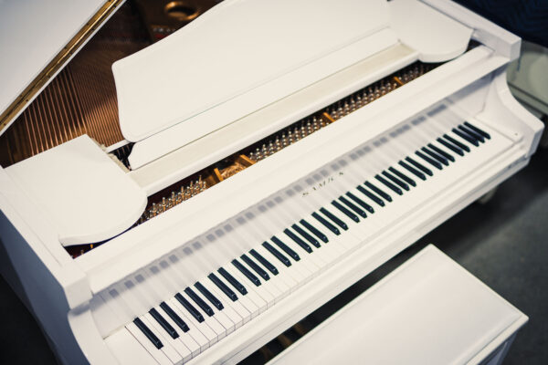 Samick SG-150C - Image 5