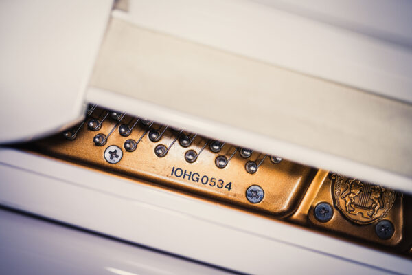 Samick SG-150C - Image 6