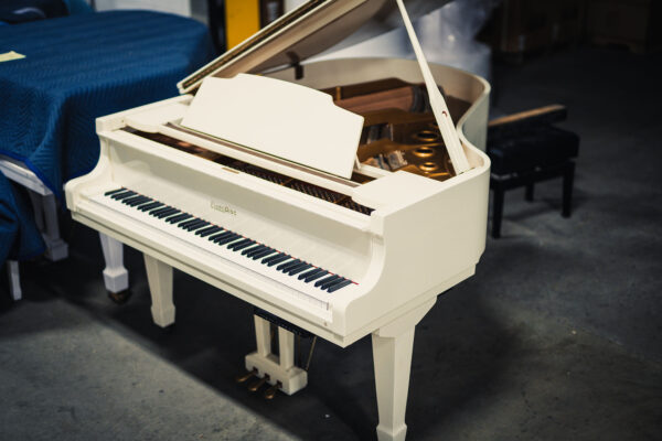PianoDisc PD-590 - Image 4