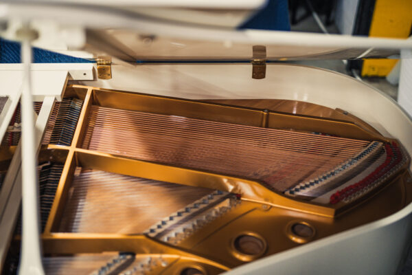 PianoDisc PD-590 - Image 3