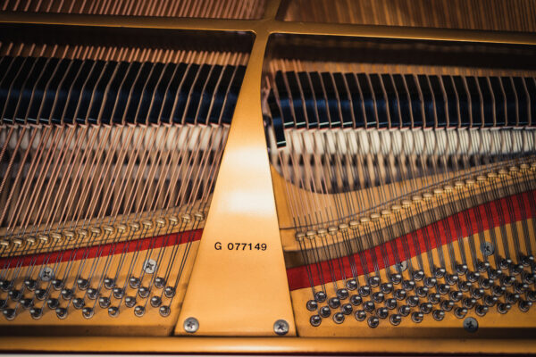 PianoDisc PD-590 - Image 7
