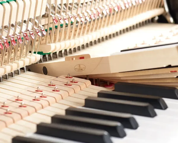 Schimmel Fridolin F121 Upright Piano - Image 4