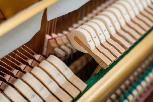 Yamaha U1