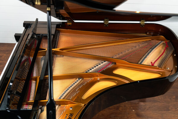 Charles R. Walter W190 Polished Ebony - Image 11
