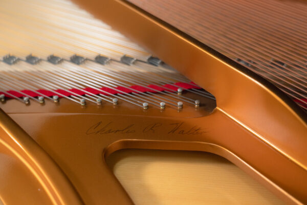 Charles R. Walter W190 Polished Ebony - Image 10