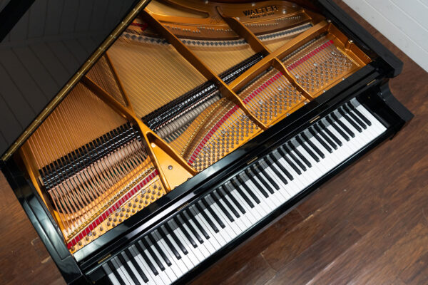 Charles R. Walter W190 Polished Ebony - Image 2