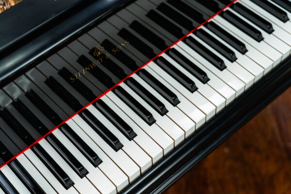 Steinway Model B Art Case Year 1905 - Image 6