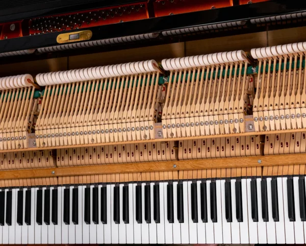 (SOLD) Schimmel SP 5'10 | Salon Professional Grand Piano - Image 10
