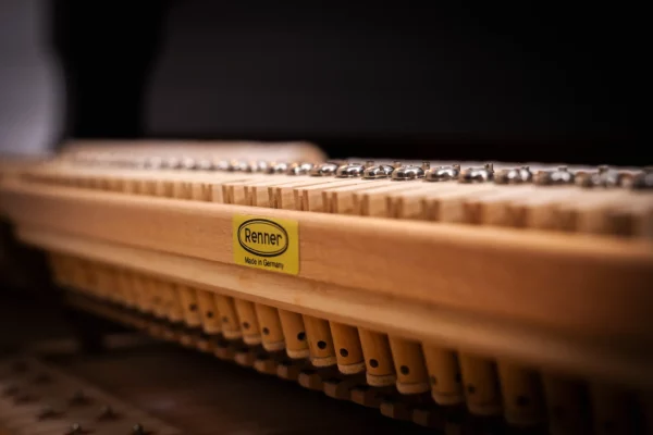 (SOLD) Schimmel SP 5'10 | Salon Professional Grand Piano - Image 12