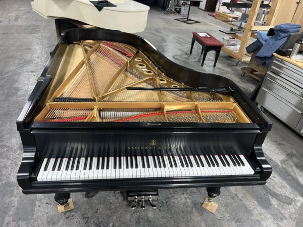 Steinway Model B Art Case Year 1902 - Image 4