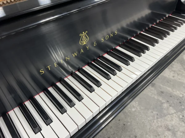 Steinway Model B Art Case Year 1902 - Image 3