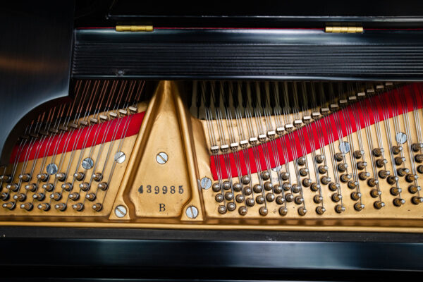 Steinway Model B 1975 - Image 5