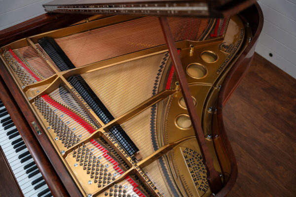 Steinway Model O Year 1906 - Image 10
