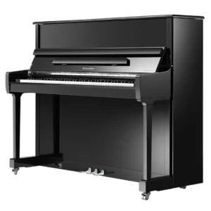 Ritmüller RS120