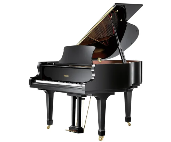 Ritmüller RS150