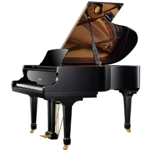 Ritmüller RS175