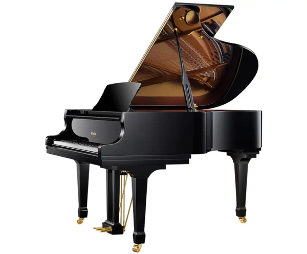 Ritmüller RS175