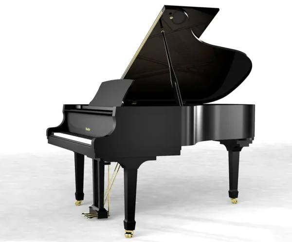 Ritmüller RS190