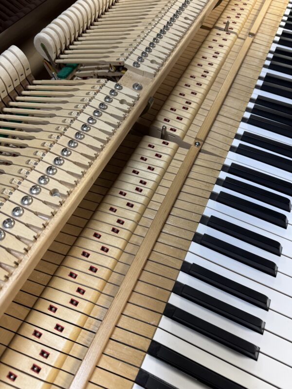 Charles R. Walter W190 Grand Piano #529846 - Image 7