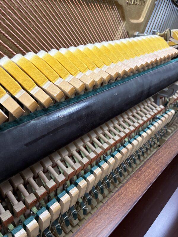 Charles R. Walter Acoustic Upright Piano - 511215 - Image 8