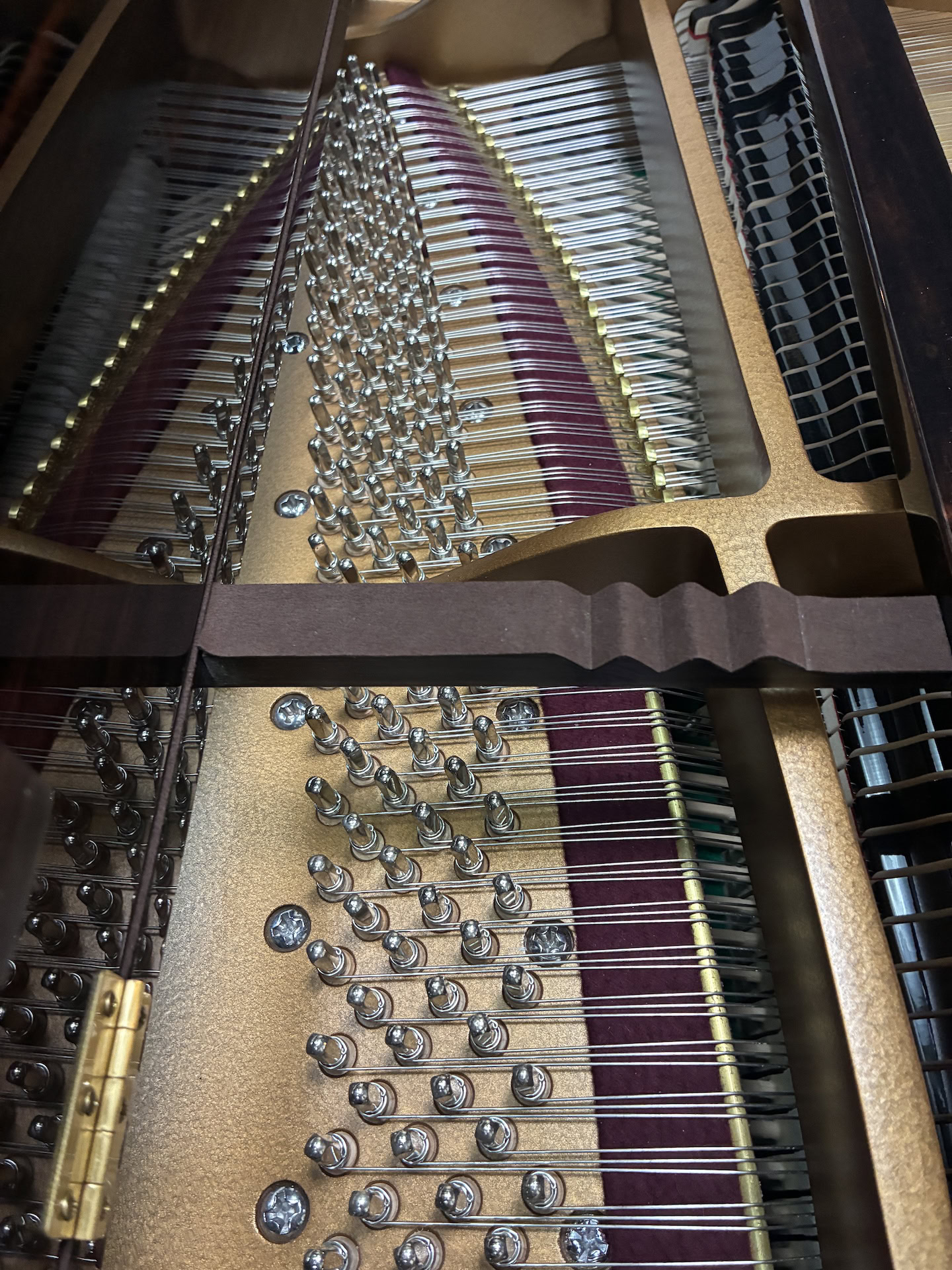 Kayserburg Artist Series Grand Piano #2708336 - Image 6