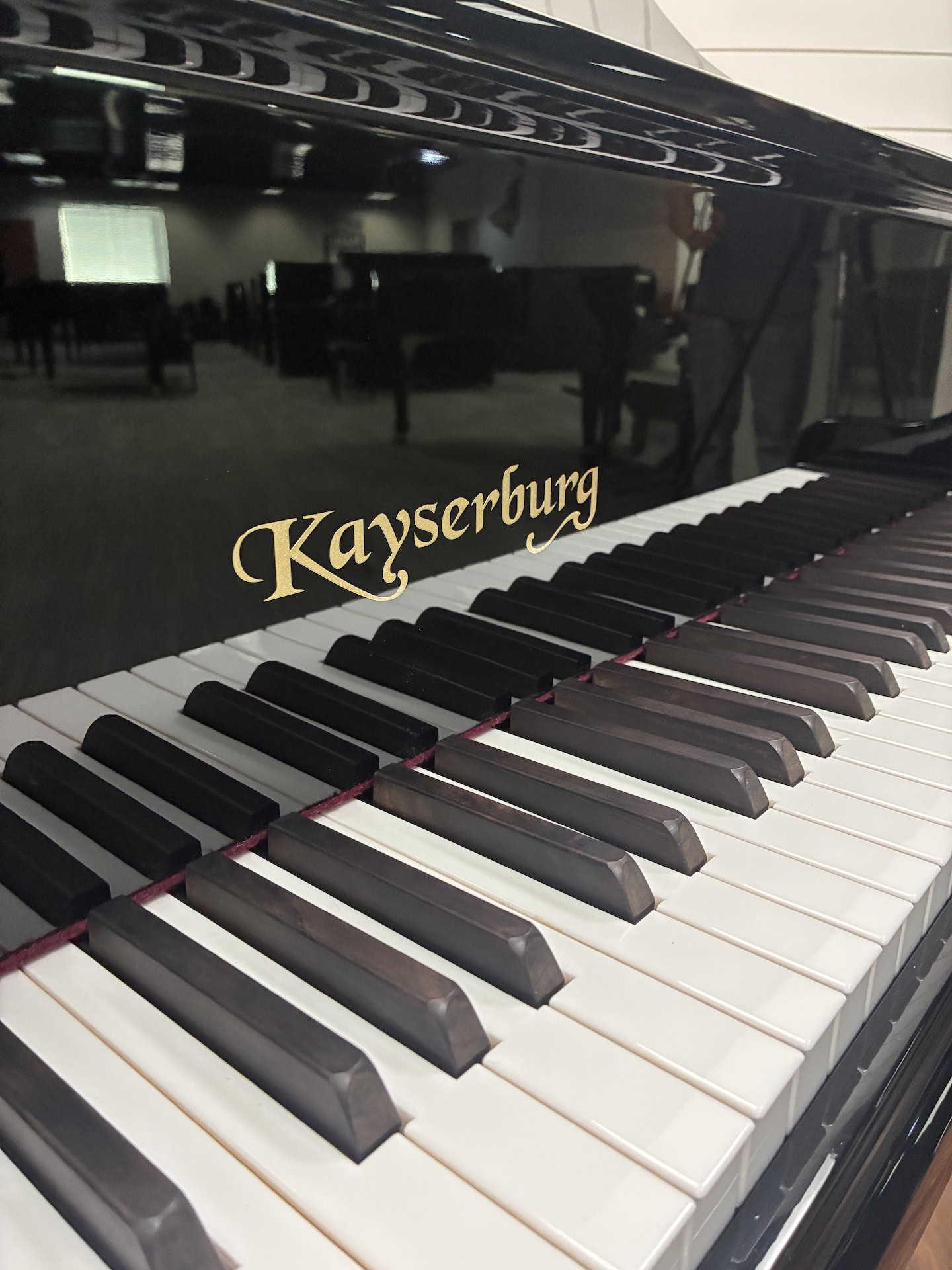 Kayserburg Grand Piano #2788411 - Image 3