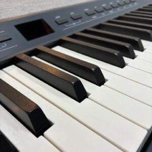 Kurzweil KaP1 Digital Keyboard Piano
